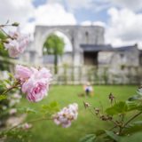 1_prieure-saint-cosme-roses_jean-christophe-coutand_2028-07-06_high